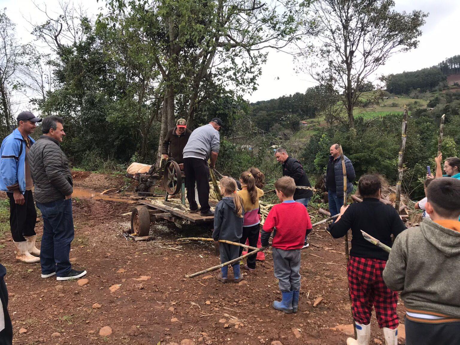 Escola do Campo Tarumãzinho realiza atividades sobre o cultivo de cana